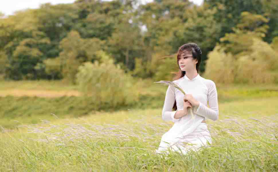 站群需要多大服务器